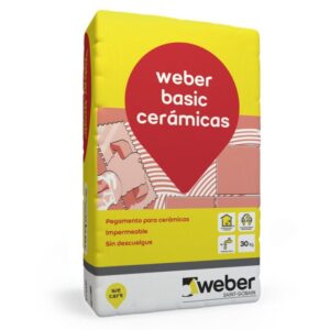 WEBER BASIC