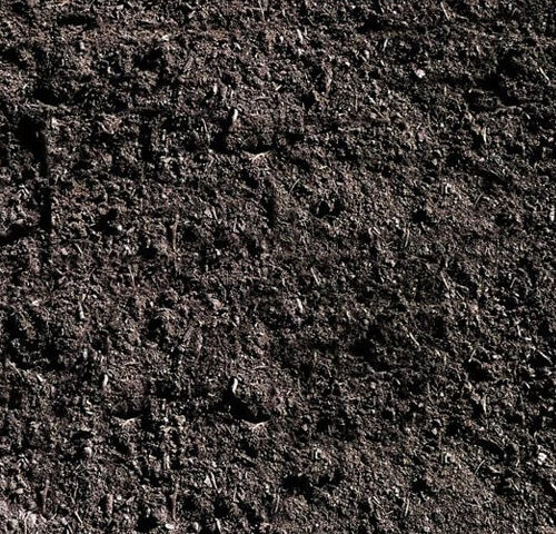 tierra-negra